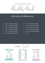 Load image into Gallery viewer, Baby Monthly Milestone Cards - Hundreds and Thousands
